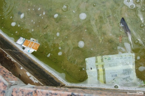 У «Луцькводоканалі» кажуть, що чистять фонтани, «на скільки це реально». ФОТО