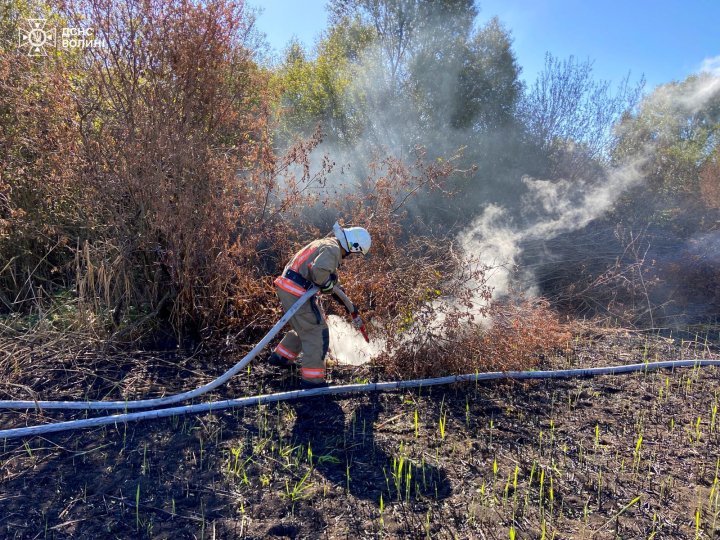 На півночі Волині спалахнув торф