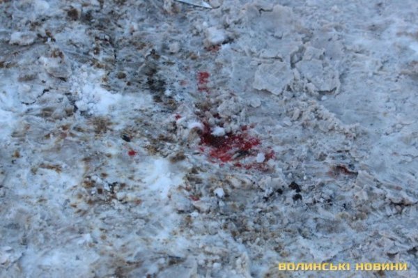 На Карпенка-Карого – лобова аварія