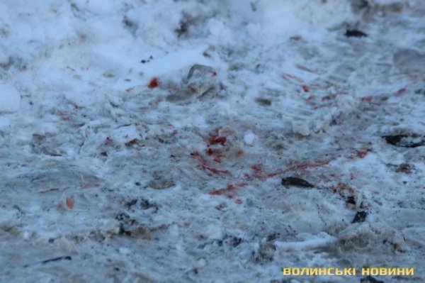 На Карпенка-Карого – лобова аварія