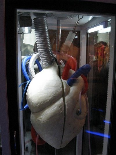 Сім чудернацьких музеїв України. ФОТО