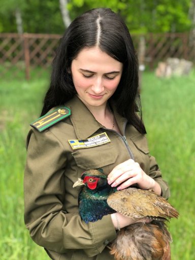 На Волині на волю випустили майже 200 фазанів. ФОТО