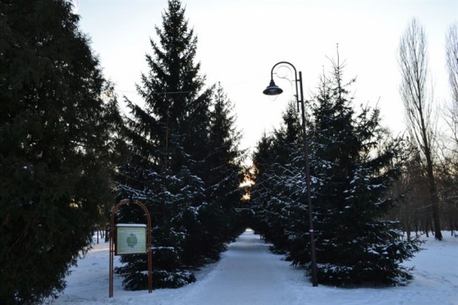 Зимовий спокій центрального парку Луцька. ФОТО