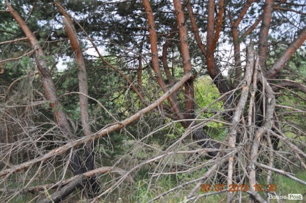 Військовий полігон на Волині потерпає від безгосподарності. ФОТО