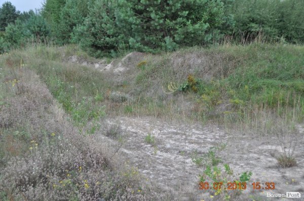 Військовий полігон на Волині потерпає від безгосподарності. ФОТО
