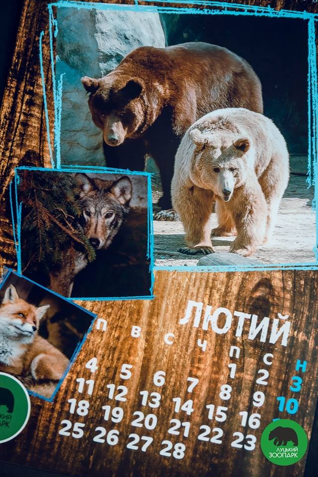 Зубаті і хвостаті: випустили календар з мешканцями луцького зоопарку. ФОТО
