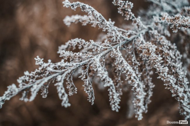 Туманно-сіра краса у Луцьку. ФОТО