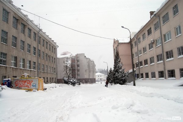 Як Луцьк замело снігом. ФОТО