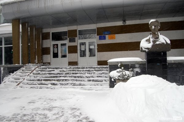 Як Луцьк замело снігом. ФОТО
