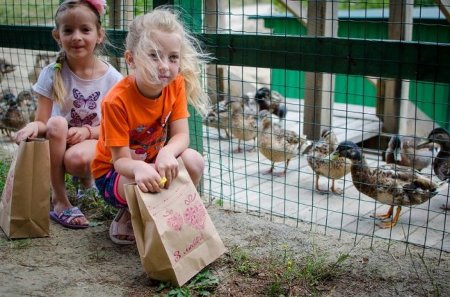 #деньбезполіетилену: волинські лісівники долучилися до екофлешмобу. ВІДЕО