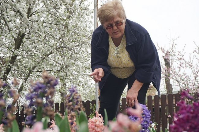 Клавдія Степанівна Кагал переконана - квіти відчувають добро