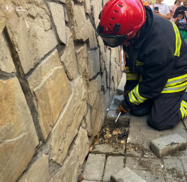 У Луцьку виловили плазуна, що оселився біля багатоквартирного будинку