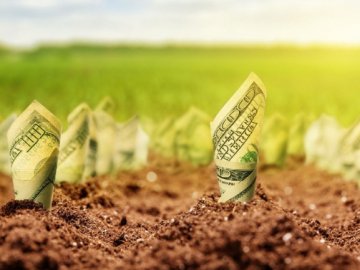 Яка ціна 1 га сільськогосподарських земель на Волині