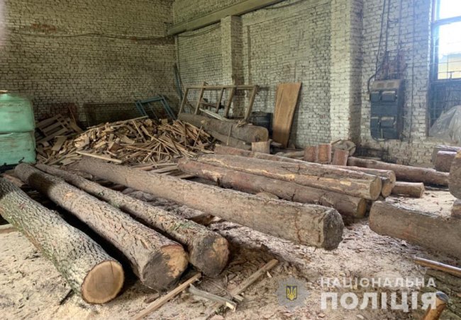 На волинських пилорамах зберігали незаконну деревину. ФОТО