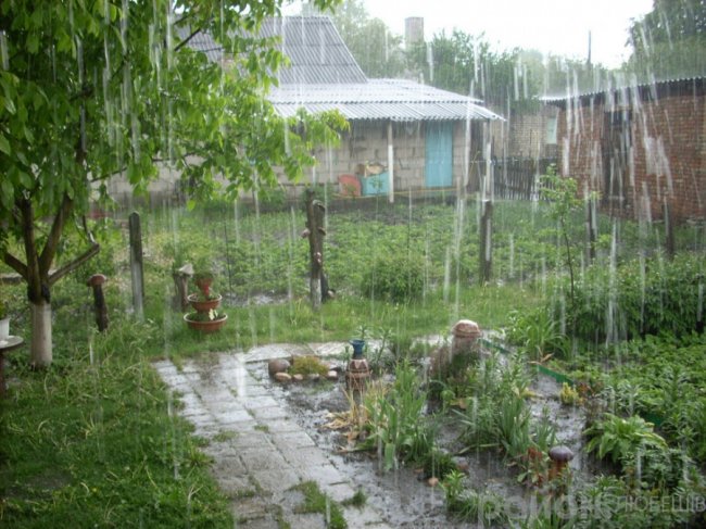 У селищі на Волині випав град розміром з вишню