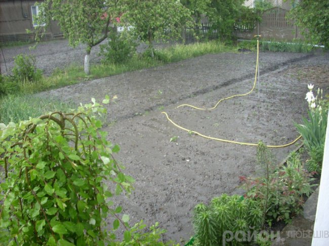 У селищі на Волині випав град розміром з вишню