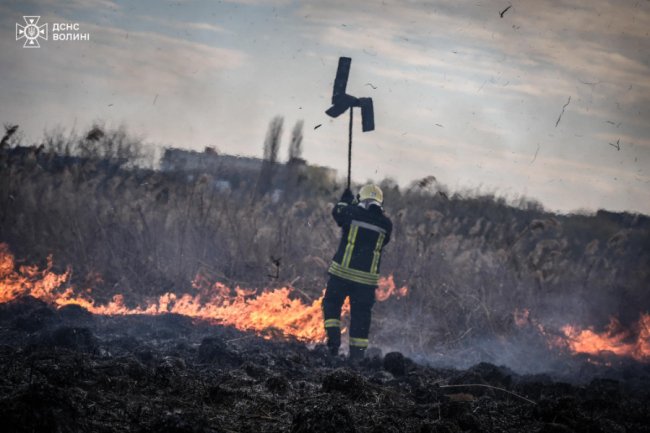 У Луцьку ліквідували масштабну пожежу сухостою на Гнідавському болоті