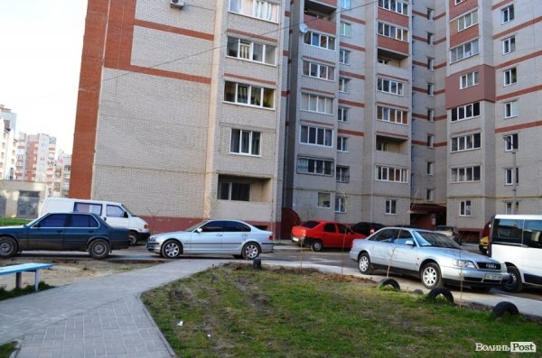 Лучани «воюють» за територію: одні садять дерева, а хтось їх ламає 