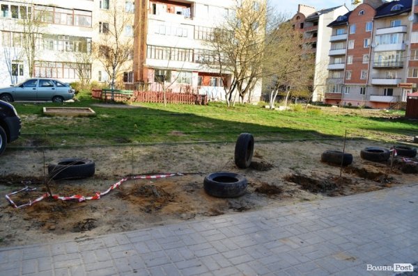 Лучани «воюють» за територію: одні садять дерева, а хтось їх ламає 