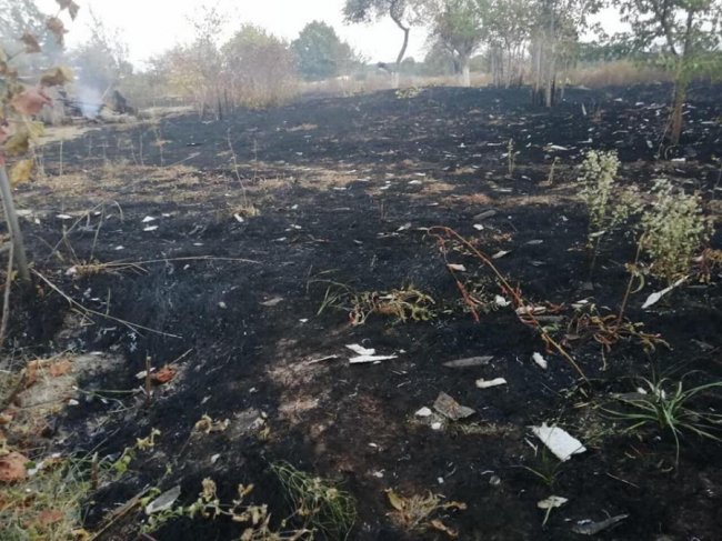 Палили суху траву: під Києвом згоріла частина села – будинки, сараї та автомобіль. ФОТО