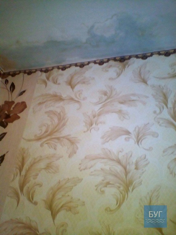 Через рік після ремонту знову почав протікати дах у гуртожитку Нововолинська. ВІДЕО