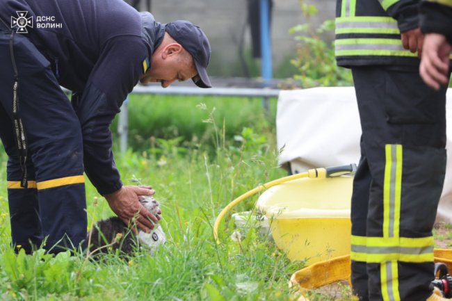 У Луцьку горів житловий будинок: врятували собаку й кота