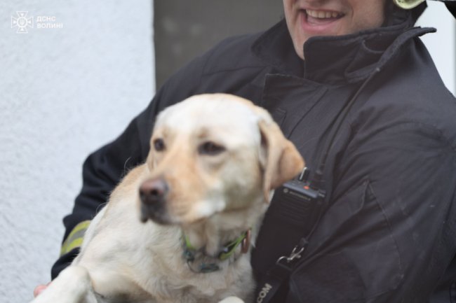 У Луцьку горів житловий будинок: врятували собаку й кота