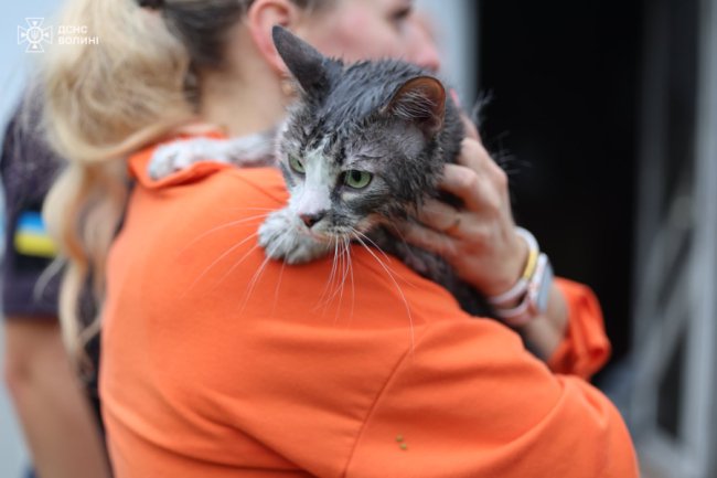 У Луцьку горів житловий будинок: врятували собаку й кота