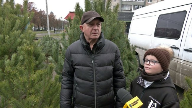 Скільки коштує ялинка в Луцьку