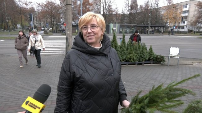 Скільки коштує ялинка в Луцьку