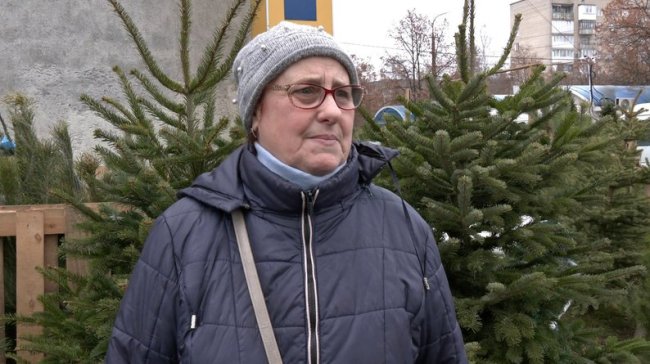 Скільки коштує ялинка в Луцьку