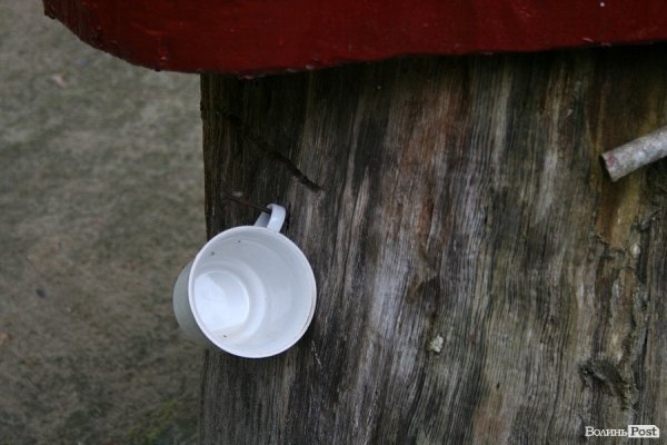 Партизанський музей у Лопатні: уламок ідеології чи місце пам’яті героїв?