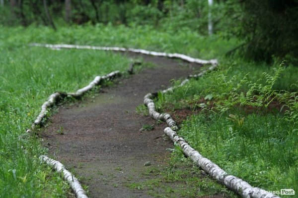 Партизанський музей у Лопатні: уламок ідеології чи місце пам’яті героїв?