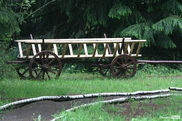 Партизанський музей у Лопатні: уламок ідеології чи місце пам’яті героїв?