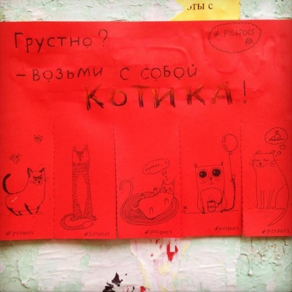 Вуличні оголошення, які покращують настрій. ФОТО