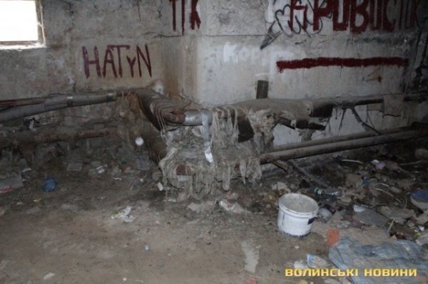 Відлов собак у Луцьку: рушниці, чіпи та гроші. ФОТО