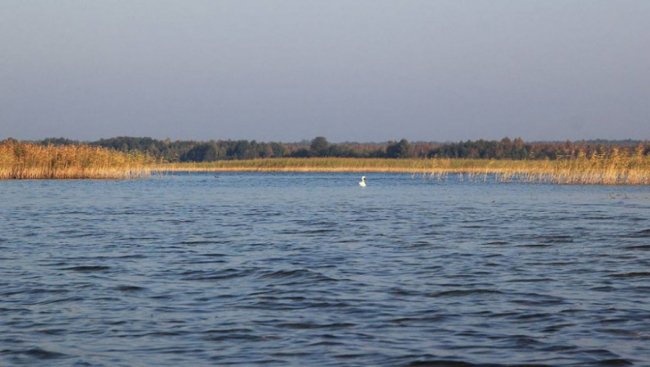 Осіння магія: світанки та вечори на Шацьких озерах досі вражають красою. ФОТО