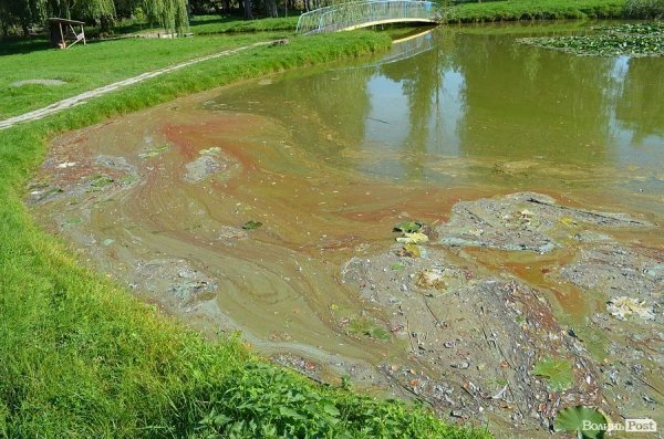 Луцькі депутати надумали врятувати зоопарк. ФОТО
