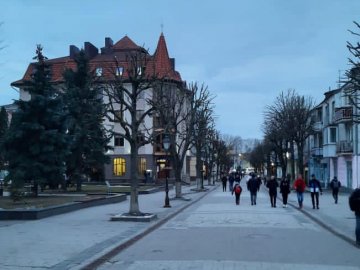 Зазеленіють листочки і буде гарно, – Поліщук про кронування дерев у центрі Луцька