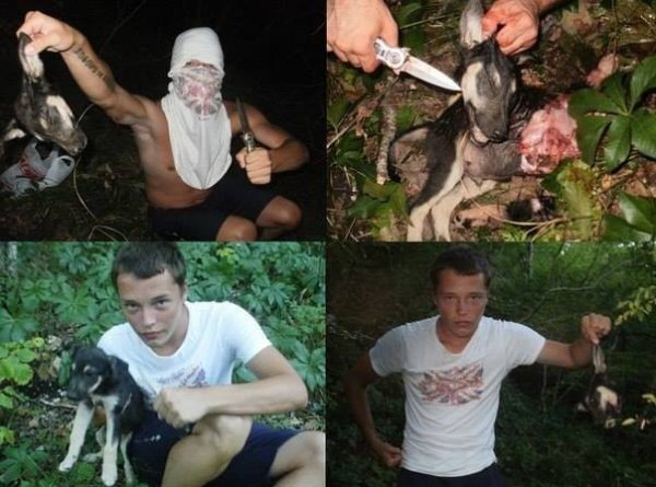 «Айдарівці» потрапили в засідку садистів. ФОТО