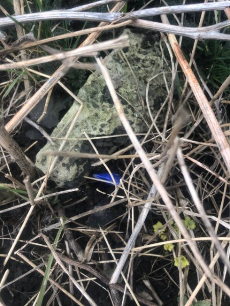 Чоловік з Одеси приїхав на Волинь розкладати «закладки». ФОТО