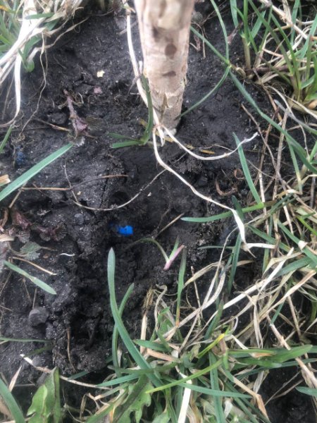 Чоловік з Одеси приїхав на Волинь розкладати «закладки». ФОТО