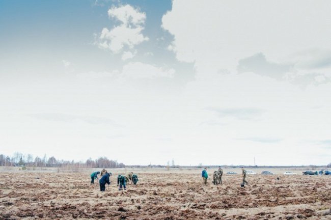 Мільйони сіянців і тисячі гектарів території: весна-2019 у волинських лісах. ФОТО