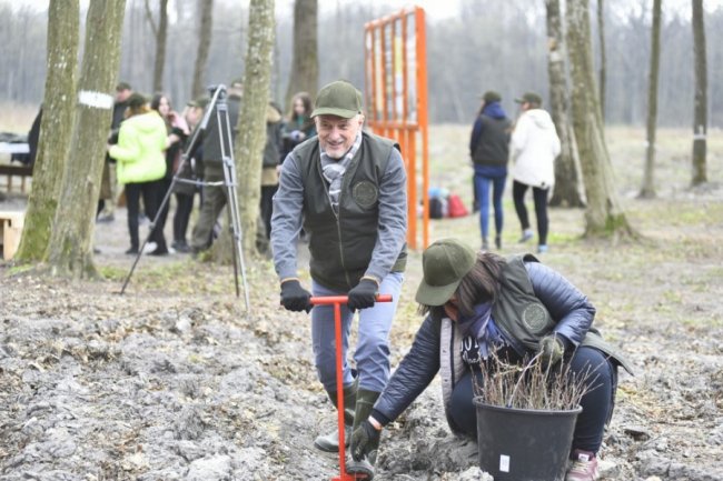 Мільйони сіянців і тисячі гектарів території: весна-2019 у волинських лісах. ФОТО