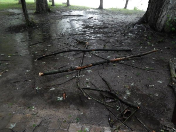 Як потерпав від дощу луцький зоопарк. ФОТО