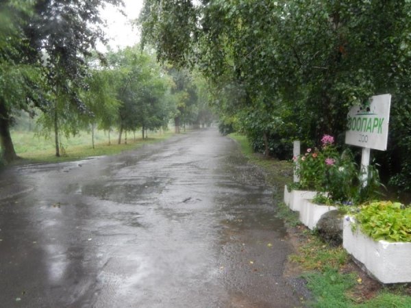 Як потерпав від дощу луцький зоопарк. ФОТО