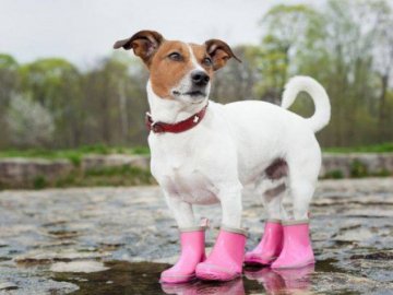 Погода в Луцьку на 5 вересня