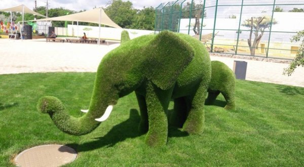 Вольєри без кордонів: чим відрізняється Одеський біопарк від Луцького зоопарку. ФОТО