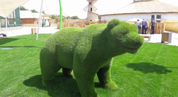 Вольєри без кордонів: чим відрізняється Одеський біопарк від Луцького зоопарку. ФОТО