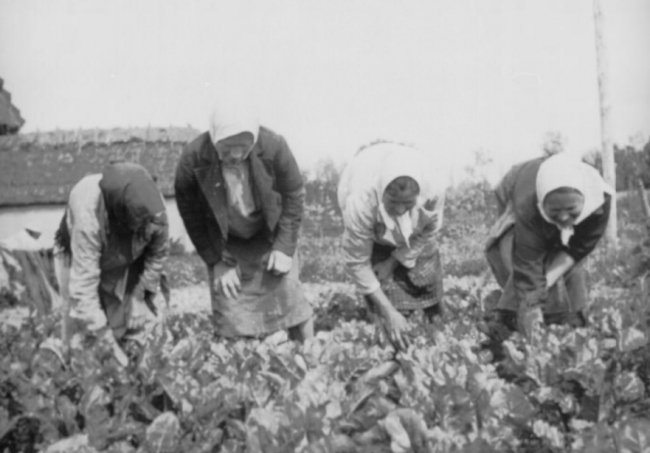 Волинські жінки в об’єктиві ворога